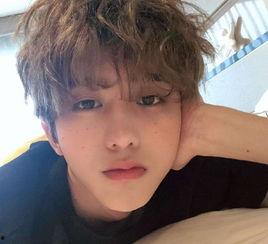 圈内人员爆料白鹿蔡徐坤,圈内爆料揭秘背后真相  第1张