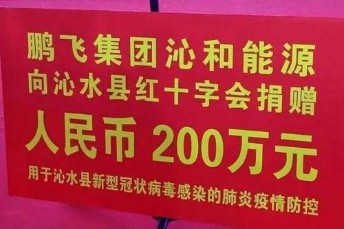 鹏飞集团爆料最新消息,揭秘企业转型背后的秘密与挑战 第1张 鹏飞集团爆料最新消息,揭秘企业转型背后的秘密与挑战 第1张