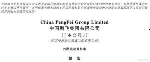 鹏飞集团爆料最新消息,揭秘企业转型背后的秘密与挑战 第3张 鹏飞集团爆料最新消息,揭秘企业转型背后的秘密与挑战 第3张
